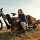 Hundeanhänger – Hundetransport Croozer Dog Enna